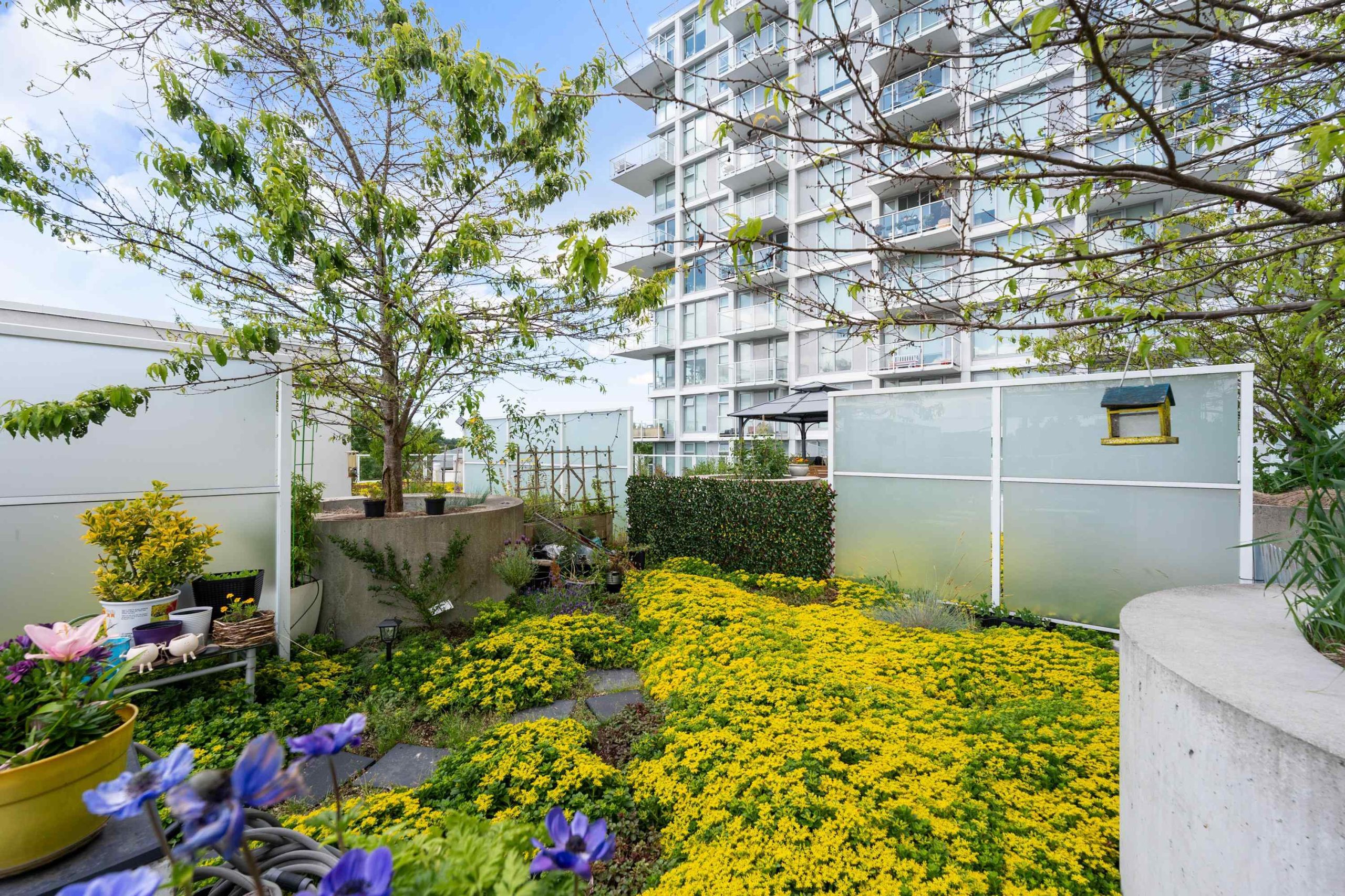 618 2220 KINGSWAY STREET, VANCOUVER 27